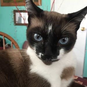 Meet your Posher, Ann